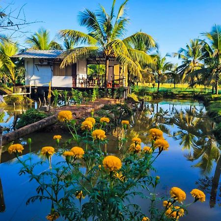 Thomman'S Farm Stay Kottayam Exteriér fotografie