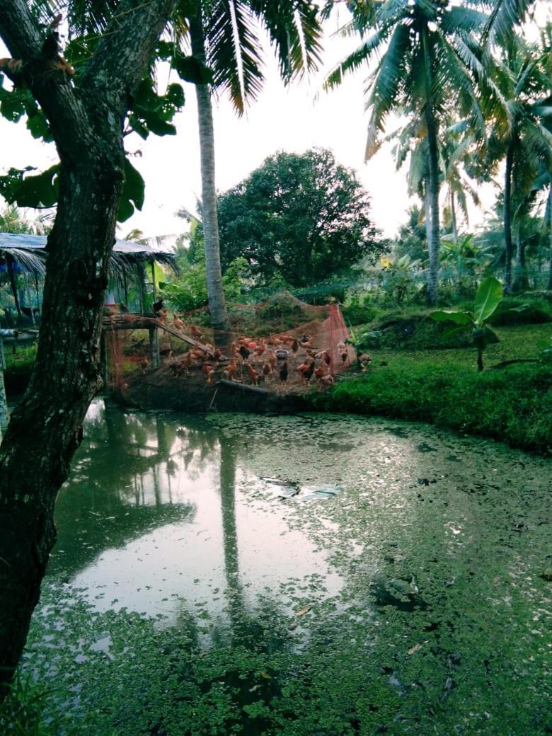 Thomman'S Farm Stay Kottayam Exteriér fotografie
