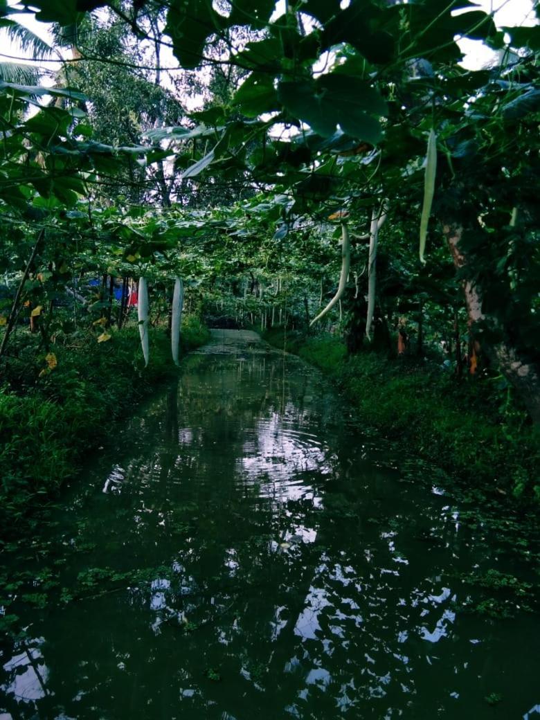 Thomman'S Farm Stay Kottayam Exteriér fotografie