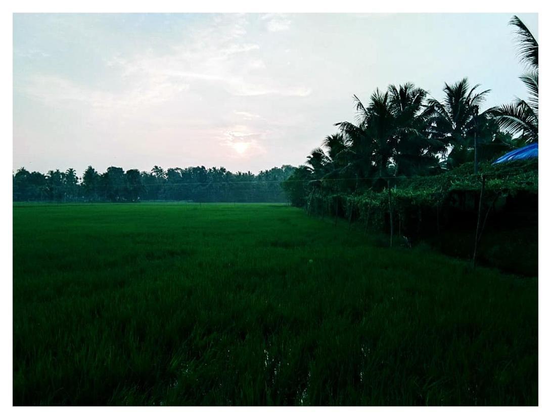 Thomman'S Farm Stay Kottayam Exteriér fotografie